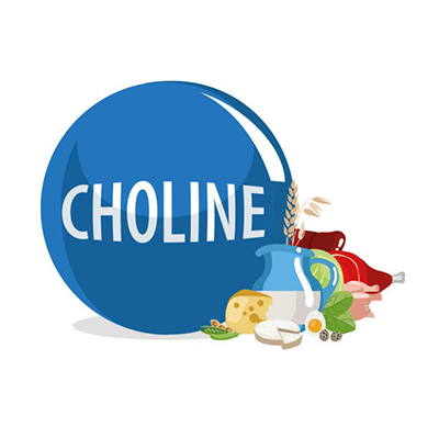 Cholina